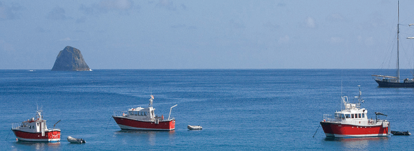 marine security