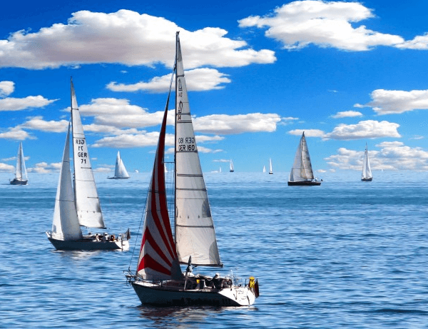 westview sailing training