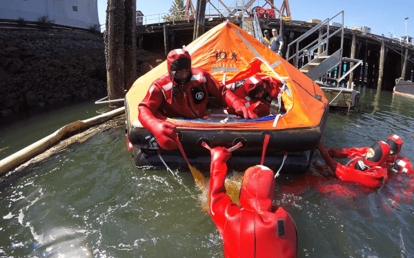 amsea training