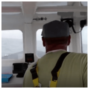 stcwf skipper