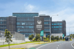 mit nz