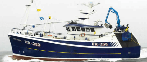 small vessel 24m