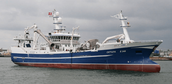 small vessel mec5