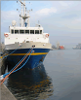 M/V NAWIGATOR XXI